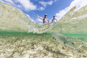 The Fishing 10 PH Matt Jones